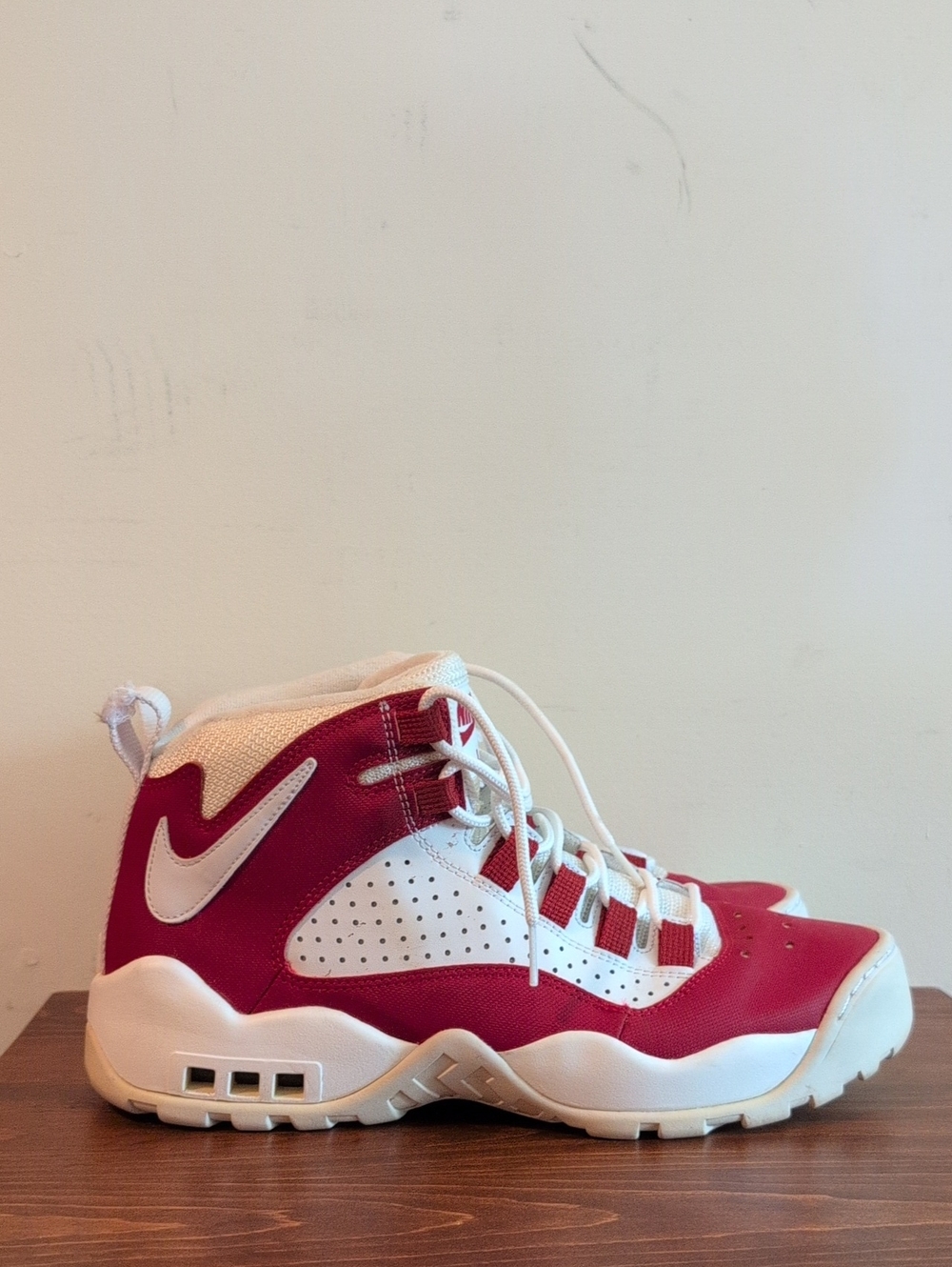 Nike Air Darwin Sz 10.5 Bulls Rodman